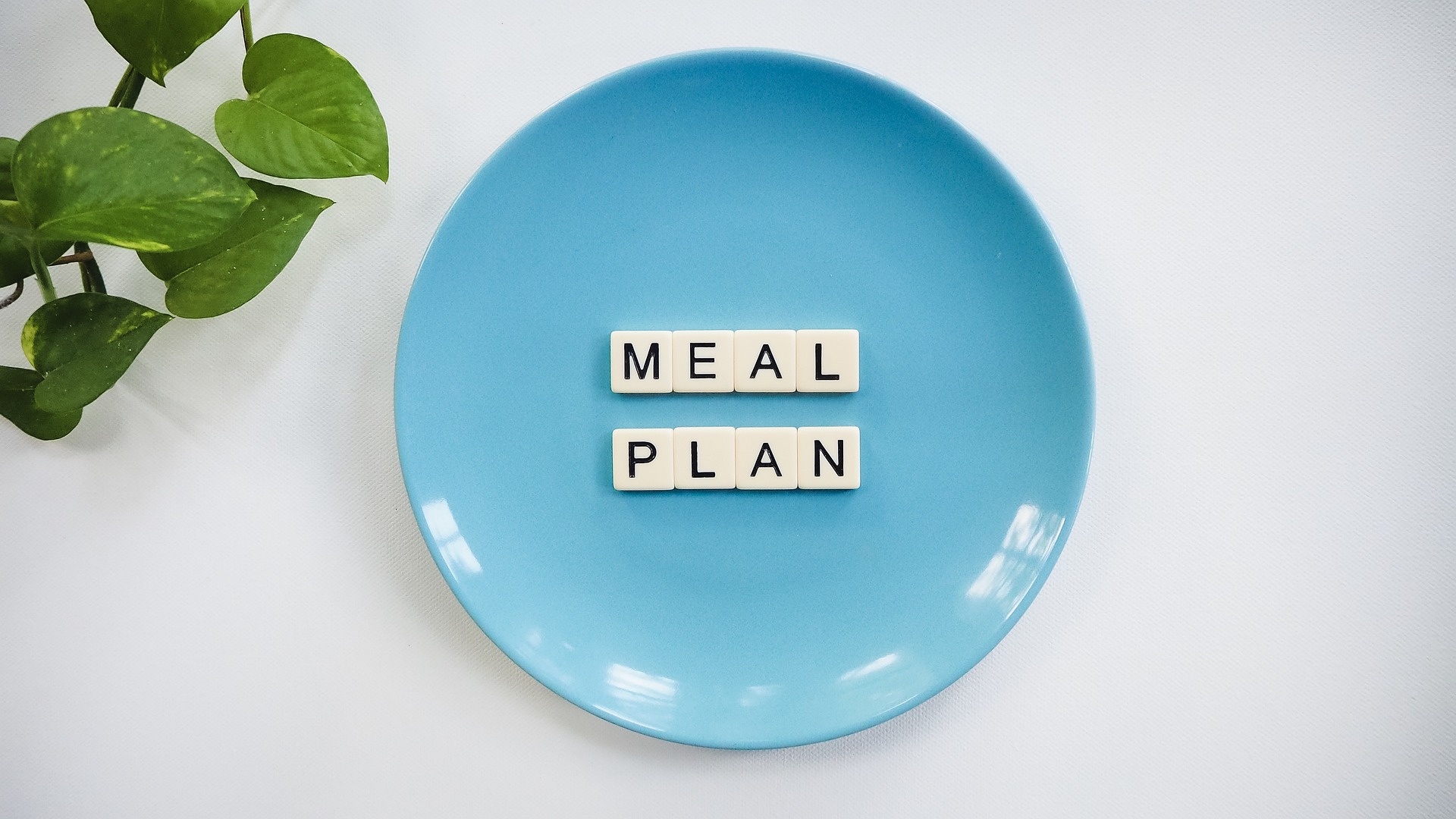Blue plate with letters spelling meal plan